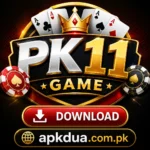 PK11 Game