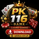 PK116 Game